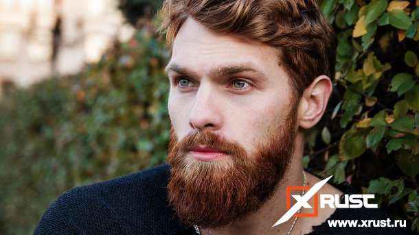 Мужские бороды по типам лица